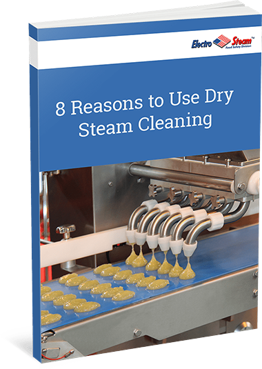 8 Reasons to Switch to Steam Cleaning ebook